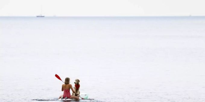 Eine Frau paddelt mit ihrem Hund auf einem Windsurfbrett auf der Ostsee vor der Insel Fehmarn. Foto: Frank Molter/dpa Eine Frau paddelt mit ihrem Hund auf einem Windsurfbrett auf der Ostsee vor der Insel Fehmarn. Foto: Frank Molter/dpa
