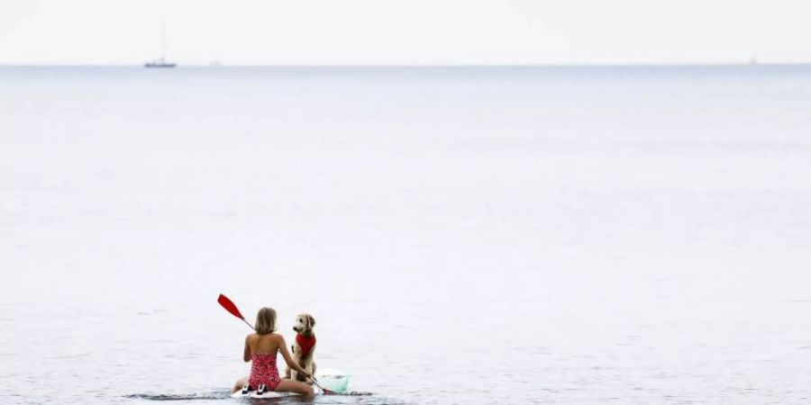 Eine Frau paddelt mit ihrem Hund auf einem Windsurfbrett auf der Ostsee vor der Insel Fehmarn. Foto: Frank Molter/dpa