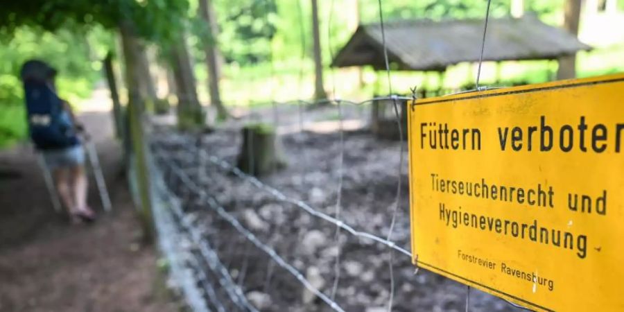 Im Wildgehege am Stadtrand von Ravensburg ist das Füttern von Wildschweinen verboten. Foto: Felix Kästle/dpa