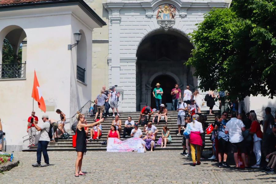 Die Demonstranten bei der Hofkirche in Luzern.