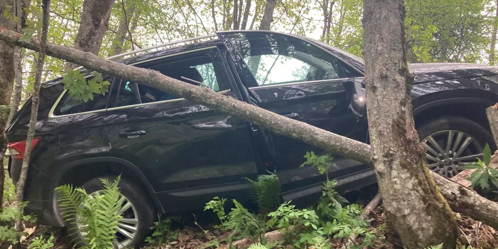 Matt Gl Mit Baum Kollidiert