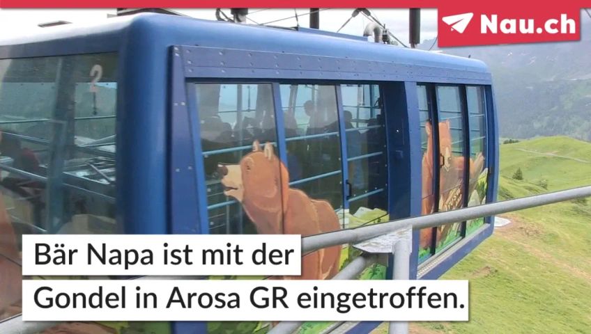 gr-bar
