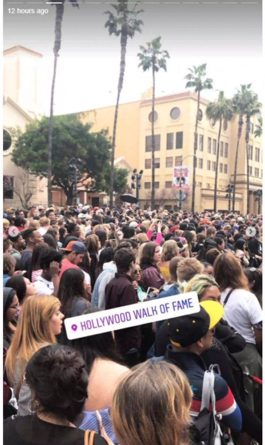 Ein Stück Kindheit aufleben lassen: Tausende Boyband-Fans stürmten an den Hollywood Walk of Fame.