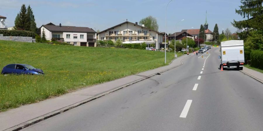 Die Strasse zwischen Ebikon und Buchrain LU.