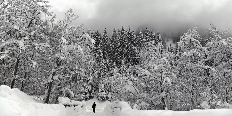 Winterlandschaft in Österreich.