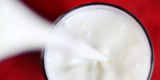 Bern - Branchenverband Milch gegen Pestizid- und Trinkwasserinitiative Bern - Branchenverband Milch gegen Pestizid- und Trinkwasserinitiative