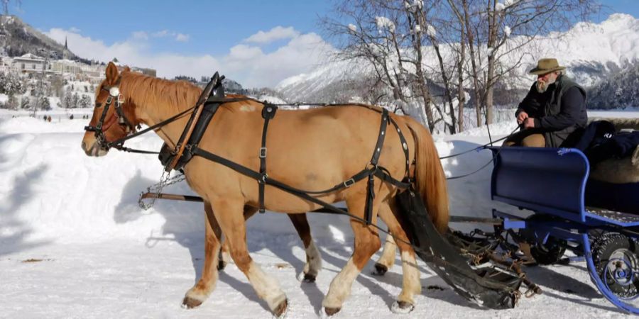 Ein Pferdekutscher fährt in St. Moritz.