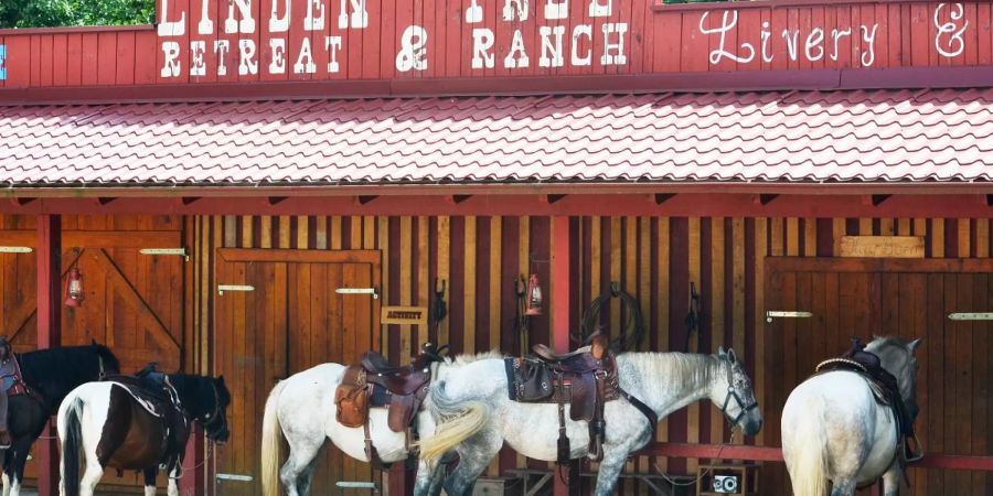 Auf der Ranch Linden Tree Retreat sollen Menschen zu sich selbst finden, Bild: Travelcontent