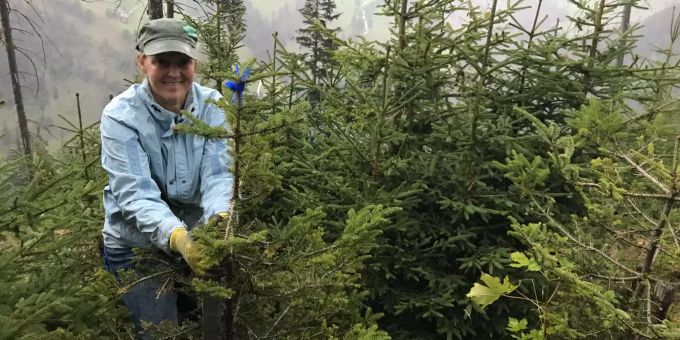 Entlebuch LU - Freiwillige forsten Wälder nach Sturmschäden auf