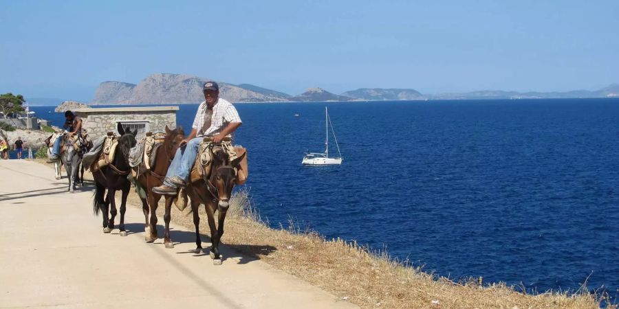Ein Mann und seine Esel auf der griechischen Insel Hydra.