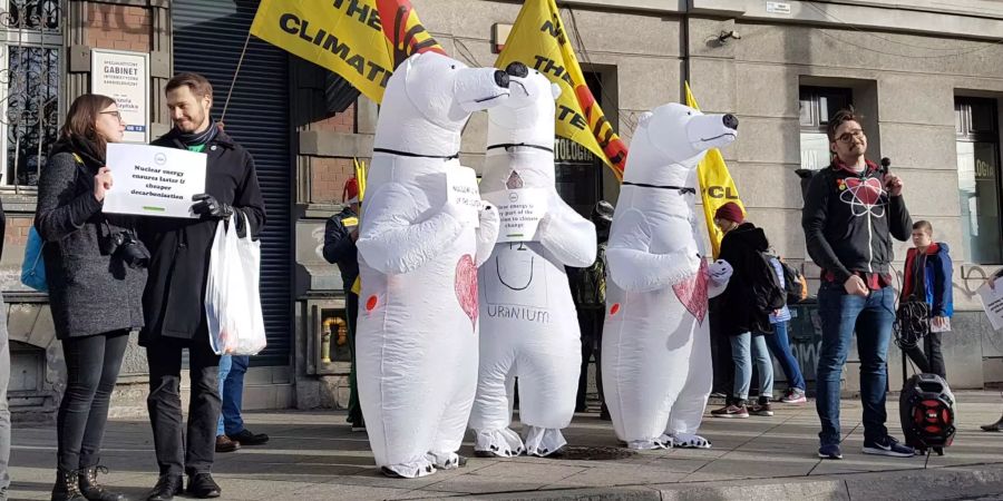 Aktivisten in Eisbärenkostümen fordern den Ausstieg aus der Kernenergie am Rande eines Protestes zum UN-Klimagipfel «COP24».