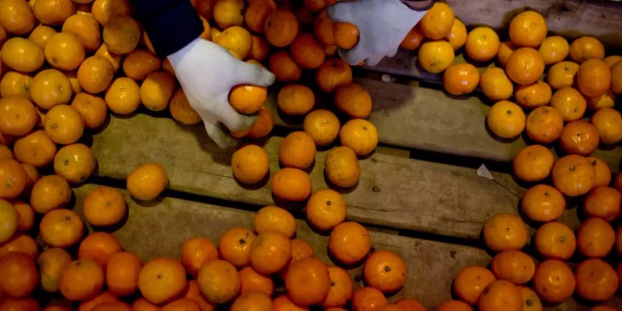 In Griechenland wurden zwei Tonnen Mandarinen gestohlen.