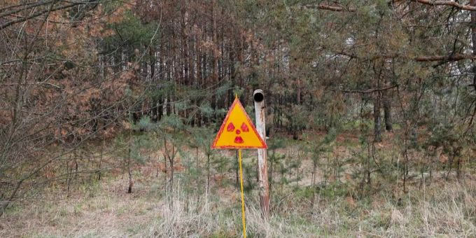 Verrückt oder nicht? - Tschernobyl-Sperrzone erhält Solarpark