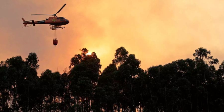 In Portugal ist die Feuerwehr mit Helikoptern unterwegs, um die Brände zu löschen.