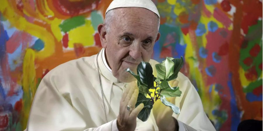 Der Papst wünscht sich eine saubere Umwelt.