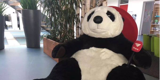 Earth Overshoot Day - WWF pocht auf Flugstopp und Fleischverzicht
