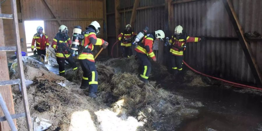 Gleich mehrere Feuerwehr-Trupps mussten das Feuer unter Kontrolle bringen.