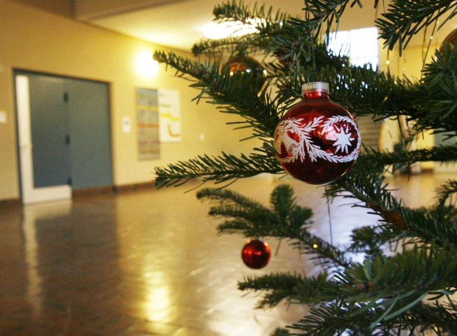 Auch heutzutage werden in vielen Schulhäusern noch Weihnachtsbäume aufgestellt.