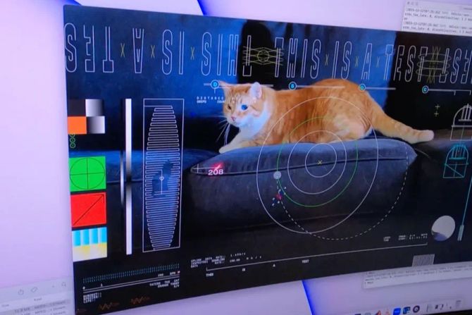 Bildschirm Video Katze