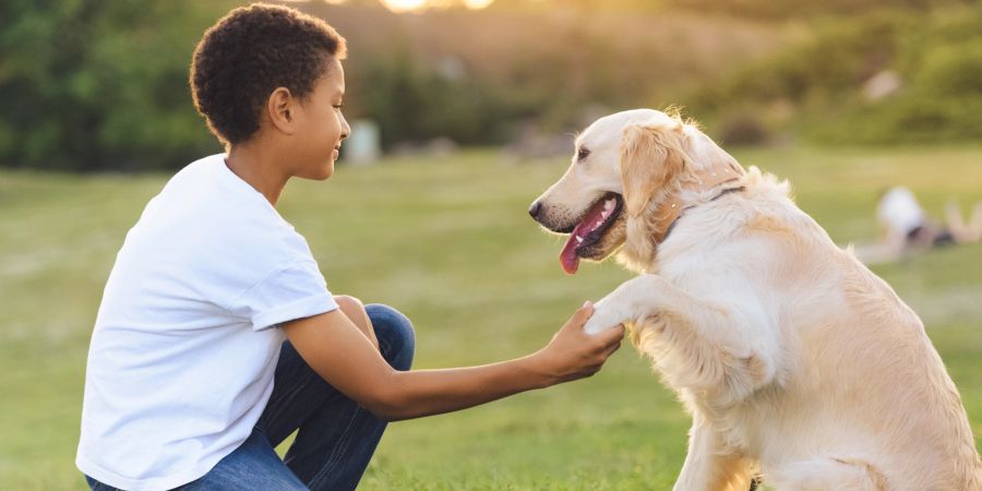 Eine gute Beziehung zwischen einem Haustier und einem Teenager kann Wunder wirken.