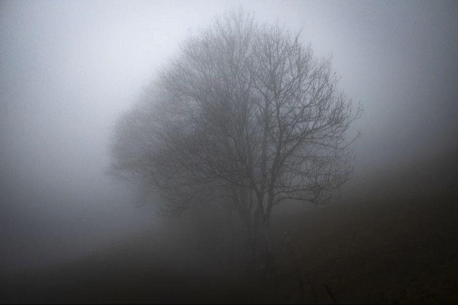 Erst im Verlaufe des Tages wird sich der Nebel auflösen - aber nicht überall.