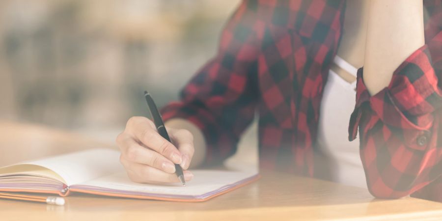 Frau Tagebuch Stift Schreiben