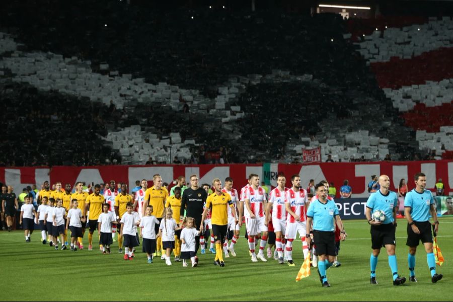 YB kennt die Atmosphäre im Stadion «Rajko Mitic», welches jeweils zu einem Hexenkessel mutiert.