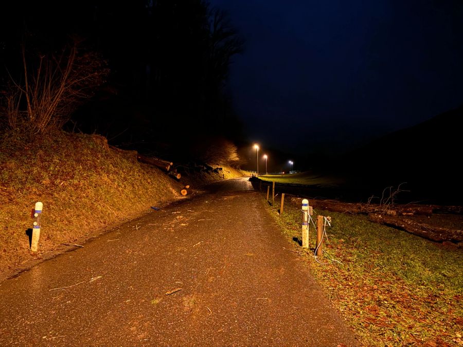 Mehrere Bäume stürzten auf die Strasse.