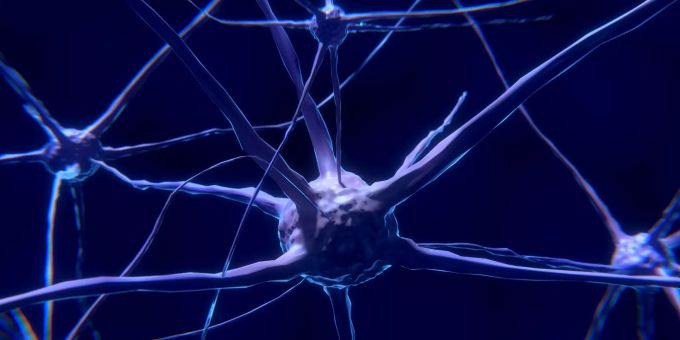 Eine Darstellung von Neuronen. Das menschliche Gehirn besteht aus unzähligen davon. spielen pong