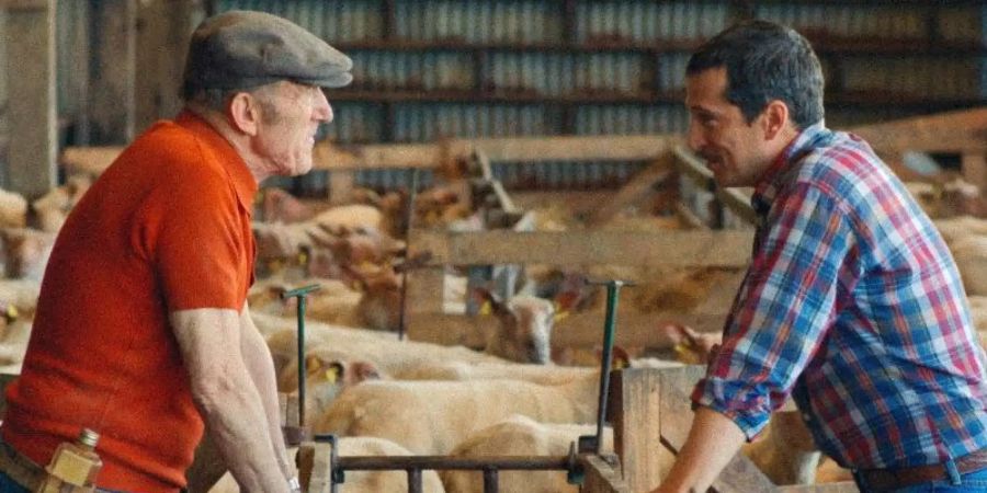 Rufus als Vater Jacques Jarjeau (l) und sein Sohn Pierre Jarjeau (Guillaume Canet) in einer Szene des Films «Das Land meines Vaters». Foto: Nord-Ouest Films/Weltkino/dpa