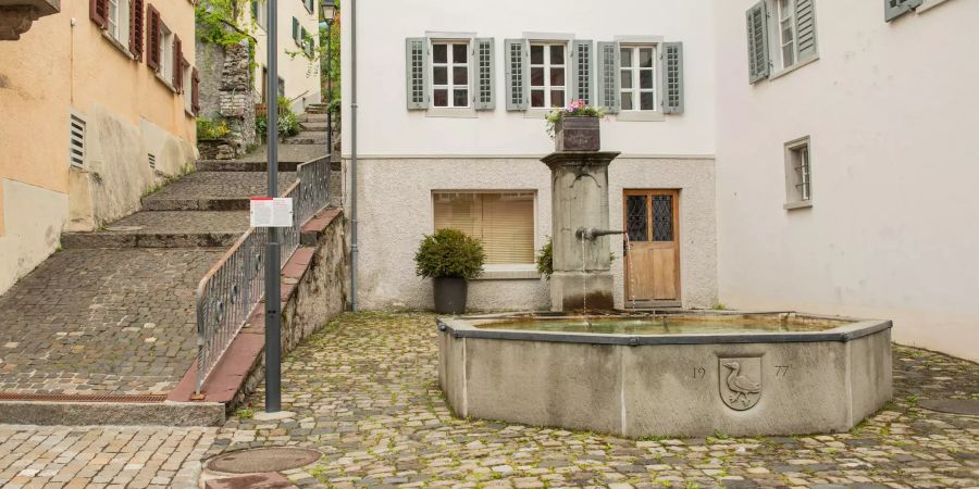 Der Sarganser Dorfbrunnen in der Altstadt von Sargans.