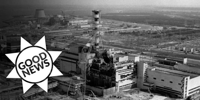 In 5 Jahren - Tschernobyl schon bald in gesundem Zustand