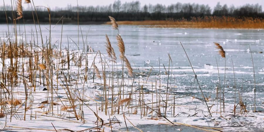 Ein zugefrorener See