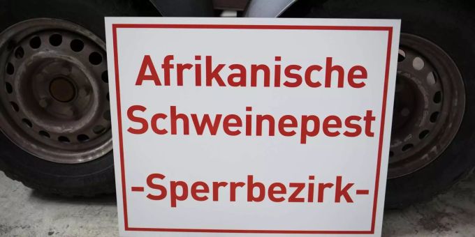 Ein Schild mit der Aufschrift «Afrikanische Schweinepest – Sperrbezirk» steht bei einem Rundgang durch das hessische Zentrallager für Tierseuchenbekämpfungsmaterial an einen Tieranhänger gelehnt. Ein Schild mit der Aufschrift «Afrikanische Schweinepest – Sperrbezirk» steht bei einem Rundgang durch das hessische Zentrallager für Tierseuchenbekämpfungsmaterial an einen Tieranhänger gelehnt.