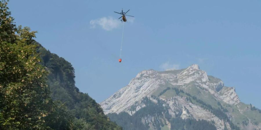 Ein Helikopter bringt Löschwasser, um den Brandherd nach dem Absturz eines Kleinflugzeugs in Hergiswil NW zu löschen.