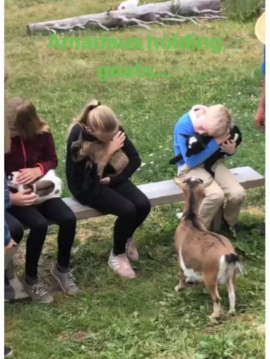 Jööö! Sohn Amadeus (r.) kuschelt mit den Geissli.