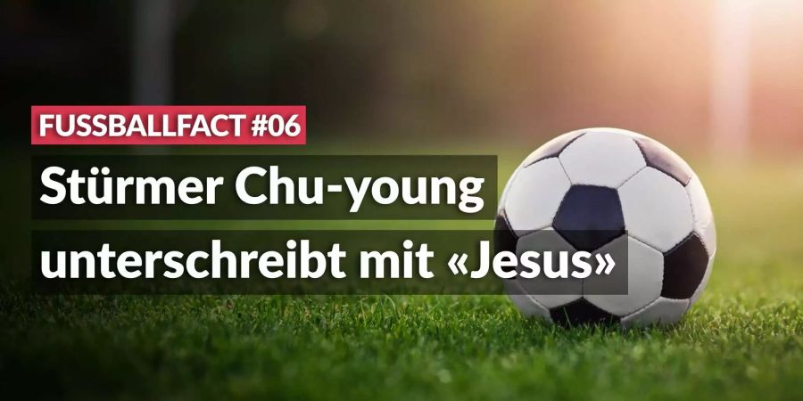 Fussballfact06