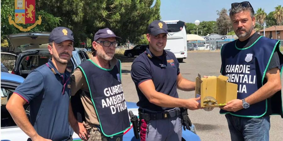 Wahre Helden: Dank der italienischen Verkehrspolizei lebt die Sumpfschildkröte noch.