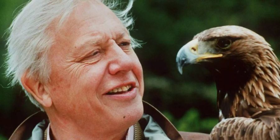 David Attenborough