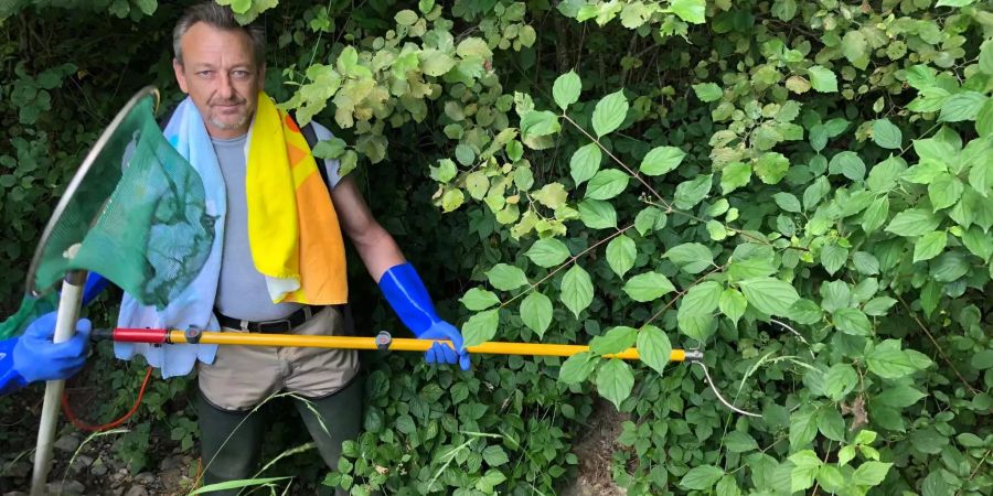 Fische werden in Zürich aus Bächen gerettet