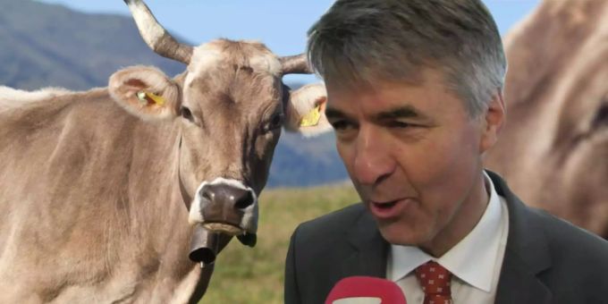 Berner Stapi an BEA-Eröffnung - «Kühe zu streicheln, gibt mir tiefe Befriedigung»