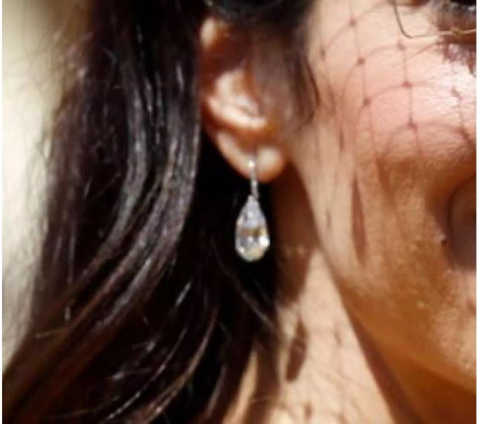 Die beiden Ohrringe von Lorraine Schwartz sollen knapp eine halbe Million Schweizer Franken gekostet haben. Die beiden Ohrringe von Lorraine Schwartz sollen knapp eine halbe Million Schweizer Franken gekostet haben.
