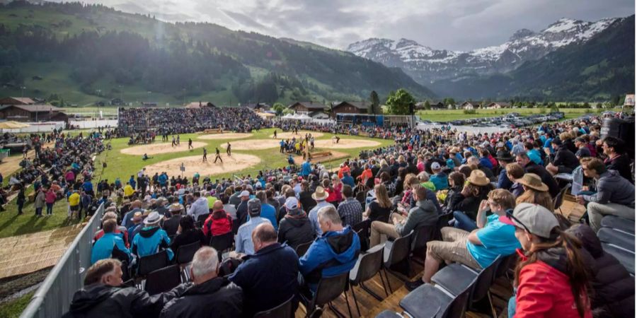 Tolles Panorama in der Schwingarena an der Lenk.