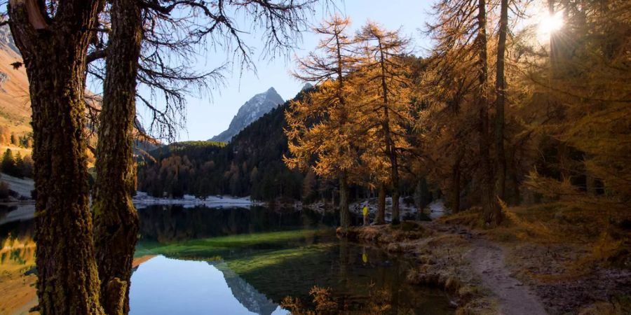 gerechtigkeit ostern natur