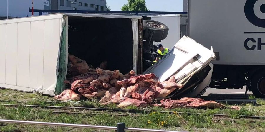 Gefrorenes Fleisch blockiert an der Pfingstweidestrasse die Tramschienen.