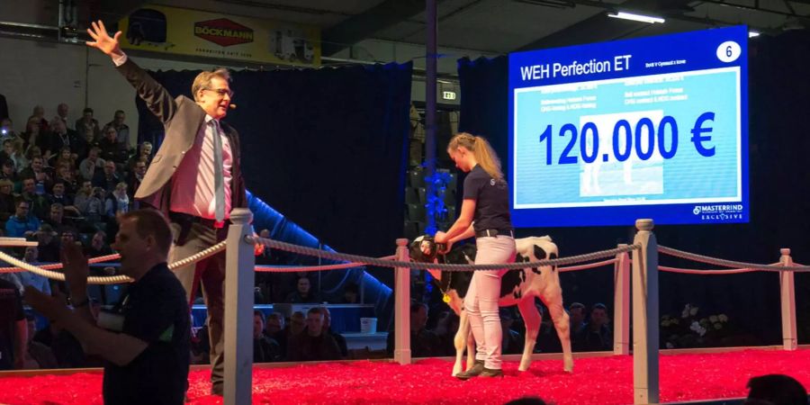 Auktionator Michael Hellwinkel gibt bei einer Summe von 120'000 Euro einem niederländischen Züchter den Zuschlag für ein kleines Kalb.