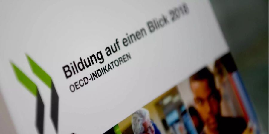 Ein Bildausschnitt des OECD-Berichts «Bildung».