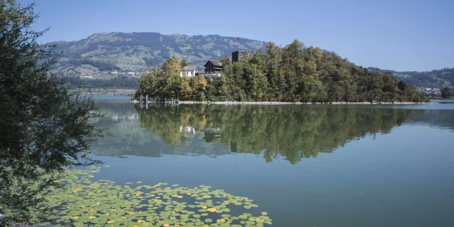 Die Regierung will kein Fahrverbot auf der Sägelstrasse durch das Naturschutzgebiet am Lauerzersee- Keystone
