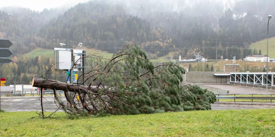 Ein umgestürzter Baum blockiert die Zufahrtstrasse zum Bahnhoff in Airolo.