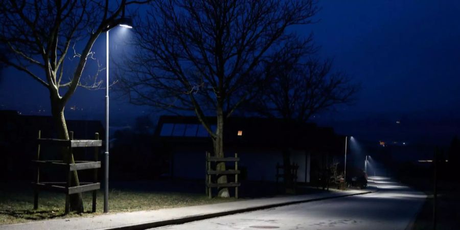 LED-Strassenlampen beleuchten eine Strasse.